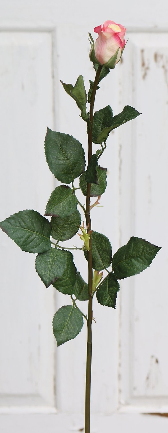 3248 755 a2 Искусственные бутоны роз, 75 см, бежево-розовые H-andreas 