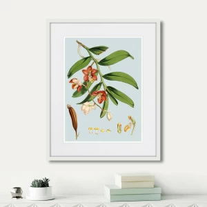 Картина в раме 52х42 см Himalaya Plants White And Orangered Flowers, 1869г. КАРТИНЫ В КВАРТИРУ  264429 Бежевый;зеленый;разноцветный