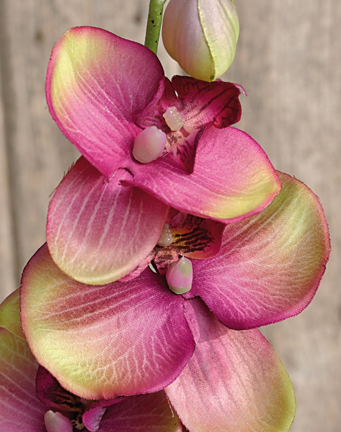 2423 208 a2 Искусственная орхидея Phalaenopsis, 92 см, фиолетово-зеленая H-andreas  - Вид №2