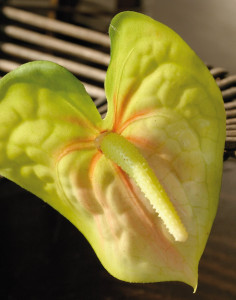 2295 883 a2 Искусственный цветок фламинго, 51 см, зеленый H-andreas