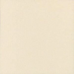 Техногрес бежевый 60х60