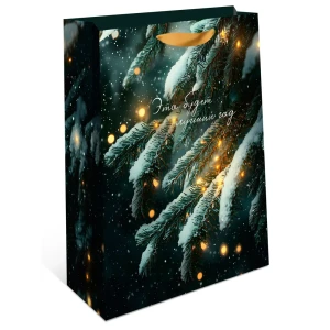 Подарочный пакет Арт и дизайн 32x26 см в ассортименте