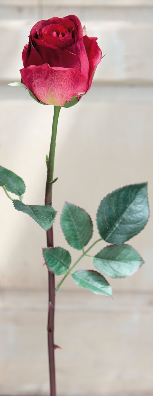 3350 408 a2 Искусственная роза, 58 см, красно-зеленая H-andreas  - Вид №1