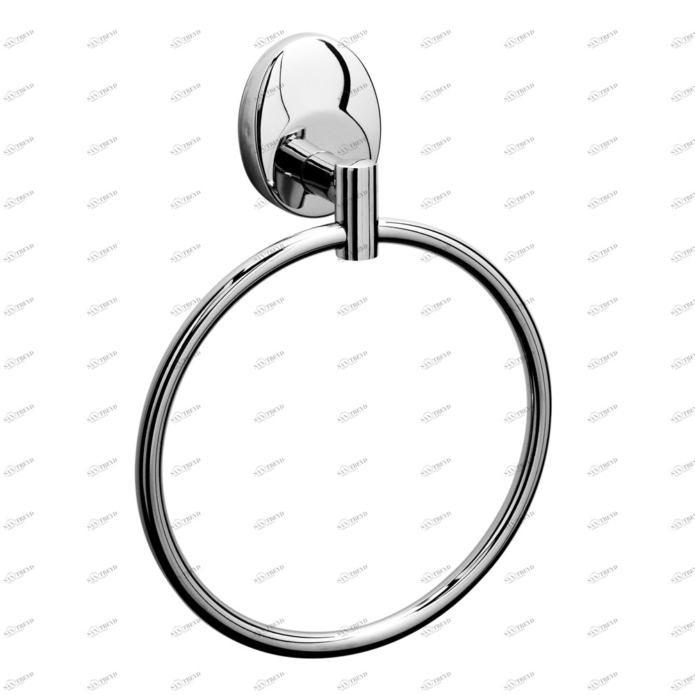 Полотенцедержатель "кольцо" Raiber R70110 R70110 Santreyd 