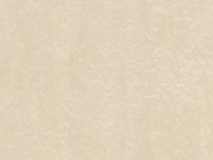 ALPI Покрытие древесины Alpilignum 10.02