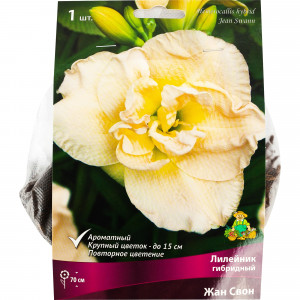 82118727 Лилейник гибридный «Жан Свон», 1 шт.