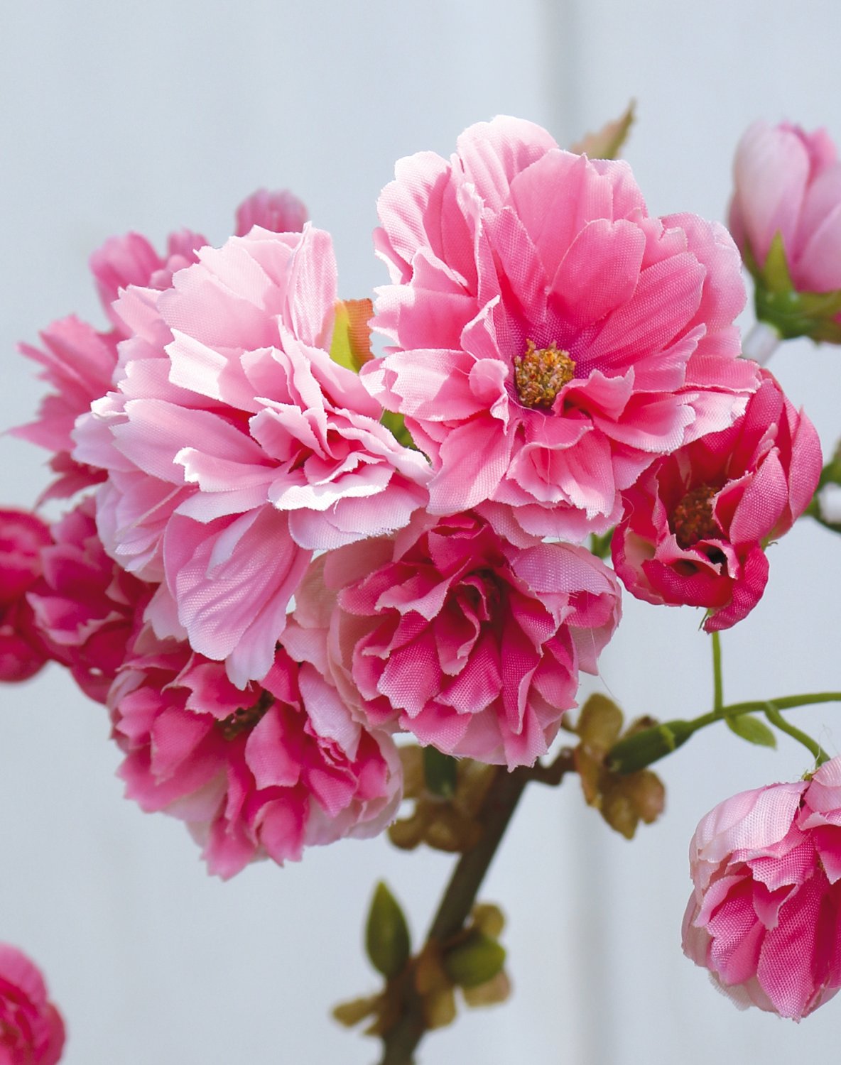 3087 515 a3 Ветка сакуры, 76 см, розовая H-andreas  - Вид №4