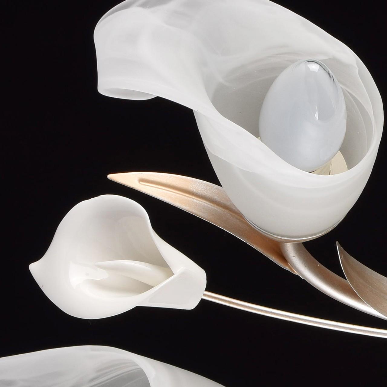 Потолочная люстра MW-Light Восторг 19 242016306 MW-LIGHT ВОСТОРГ 183121 Белый  - Вид №3