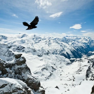 A1-032 Фотообои DIVINO Collection A 2.7х3 м