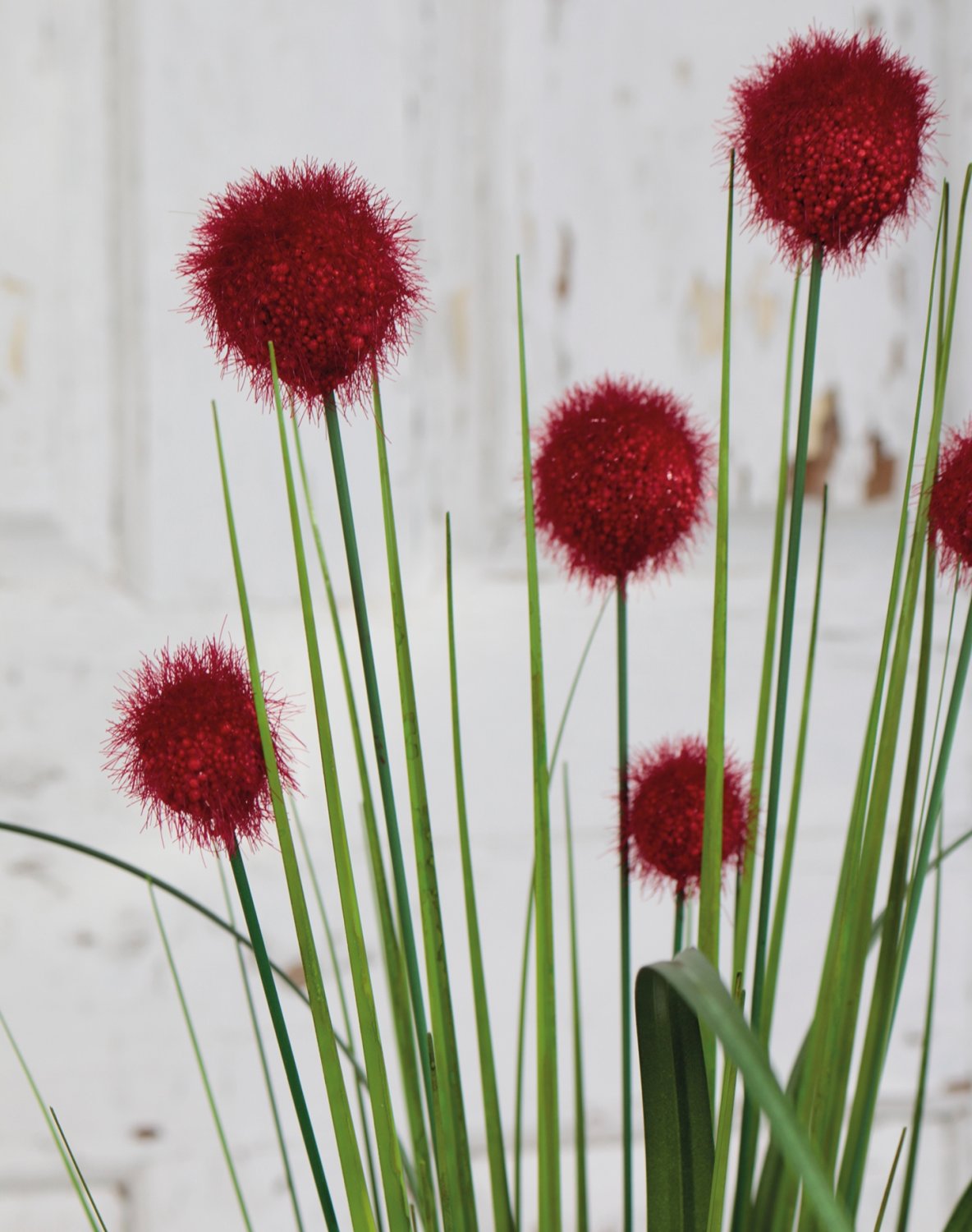 4945 444 a3 Мяч из искусственной травы, 75 см, красный H-andreas  - Вид №1