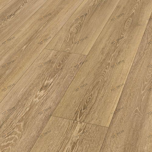 Ламинат Maestro Club Дуб Пастель SO02 4000100066