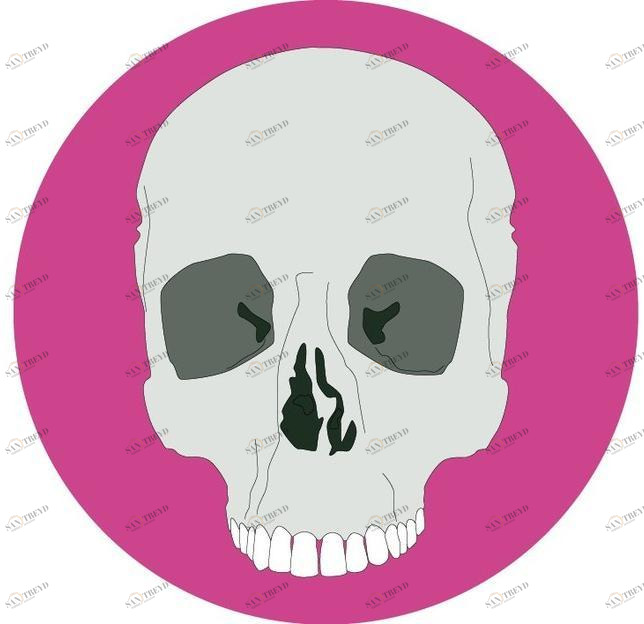 CONCEPTUWALL Декор из клейкой ткани Vanités sun-id-1481206