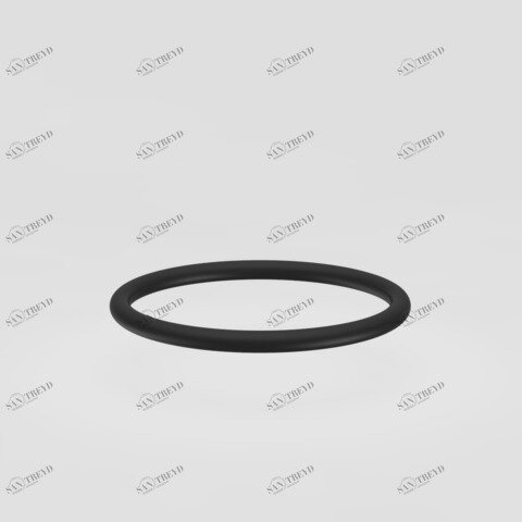 SANIT 616176 SANIT уплотнительное кольцо 55x5 конц. Цистерна промывочный клапан 