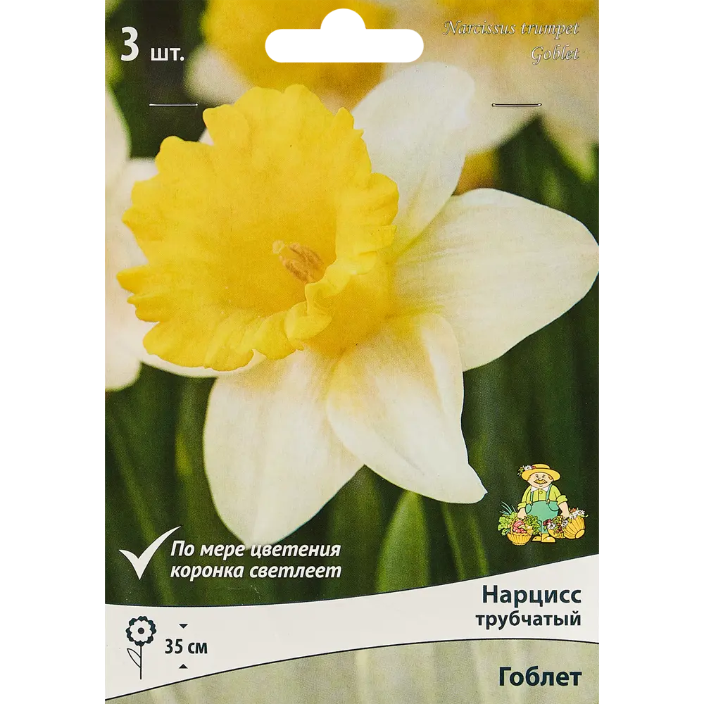 Нарцисс трубчатый Гоблет - луковицы для весеннего сада, 3 шт 88294753 Santreyd STLM-1579820