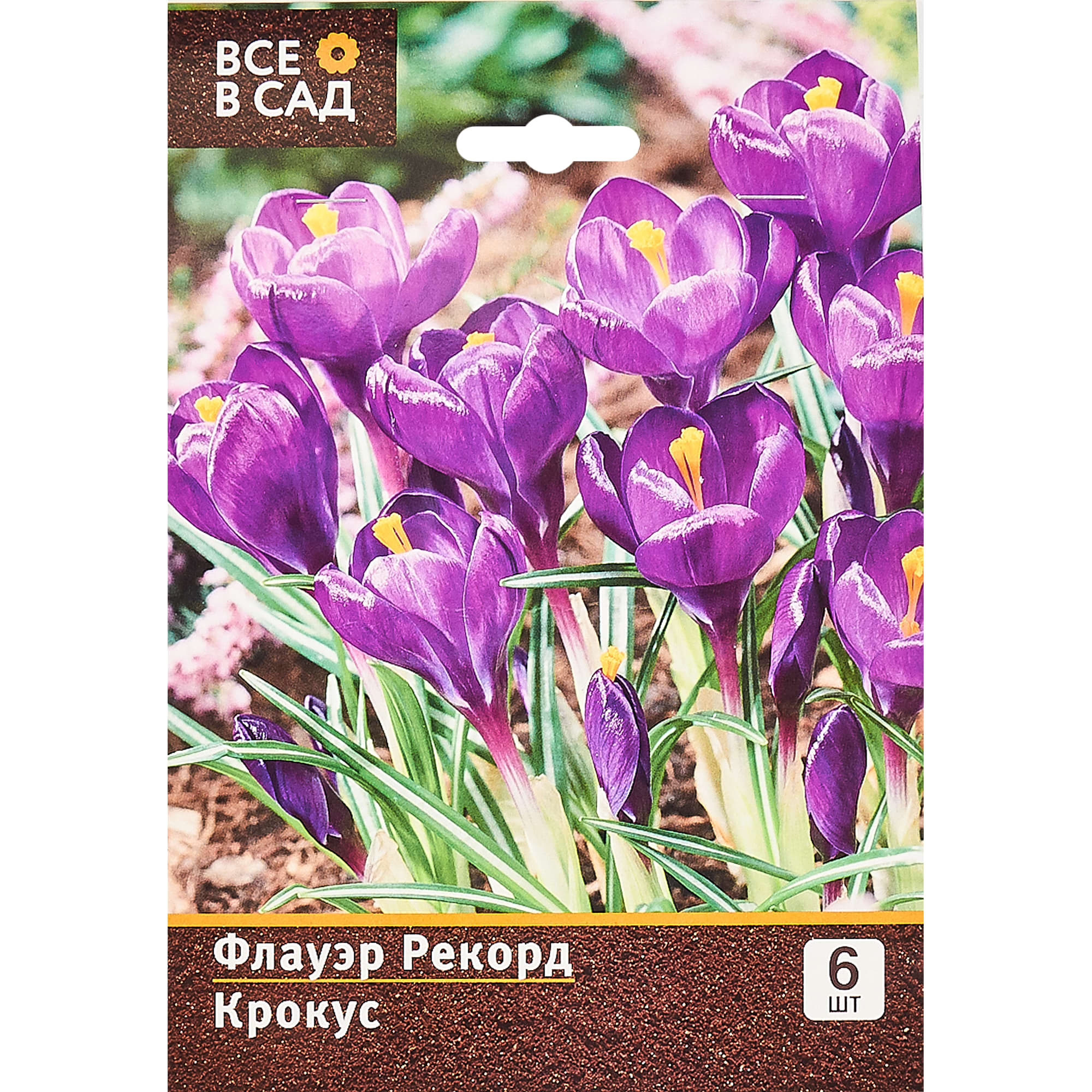 15072761 Крокус Флауэр Рекорд, 7/8, 6 шт Santreyd 