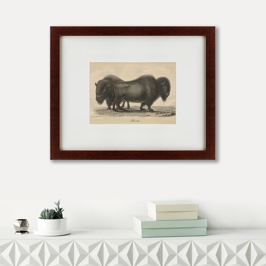 Картина в раме 52х42 см Bison, 1828 КАРТИНЫ В КВАРТИРУ  135667 Коричневый  - Вид №1
