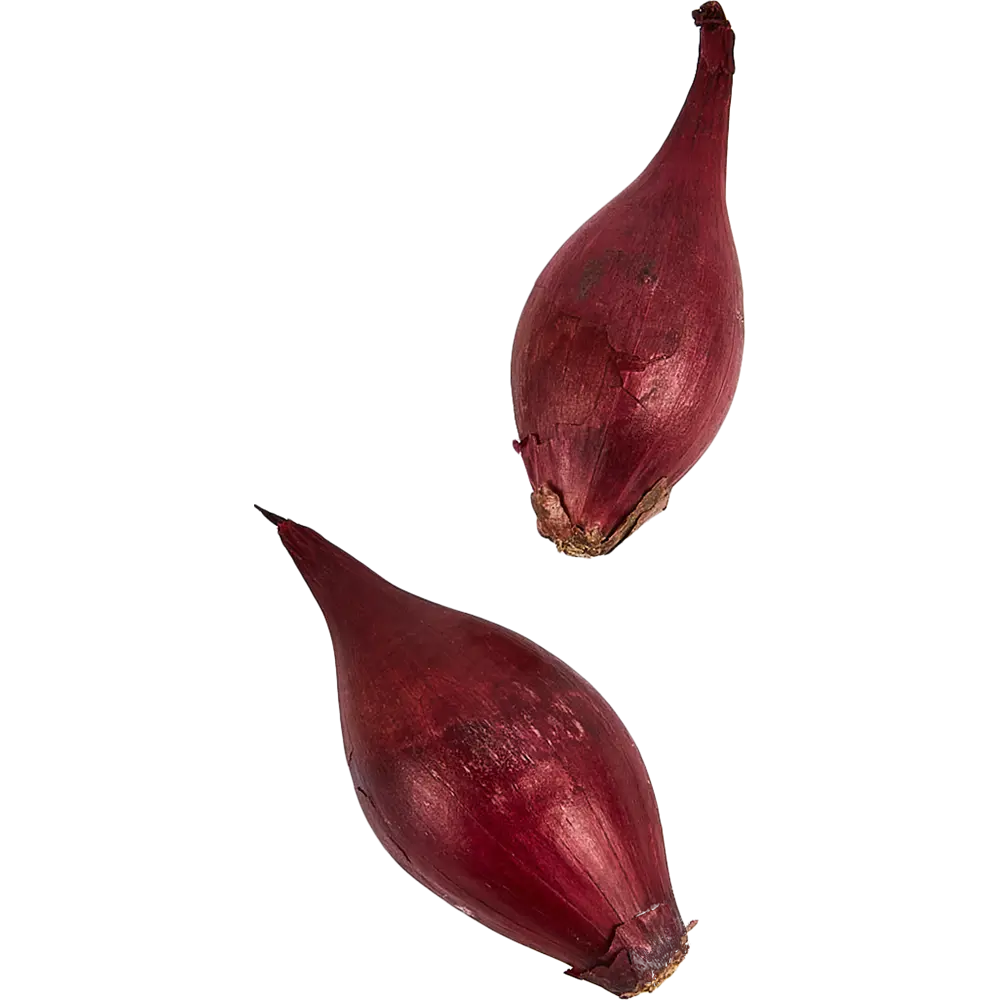 Лук-севок Кармен МС 0.5 кг Santreyd STLM-2201229 - Вид №2