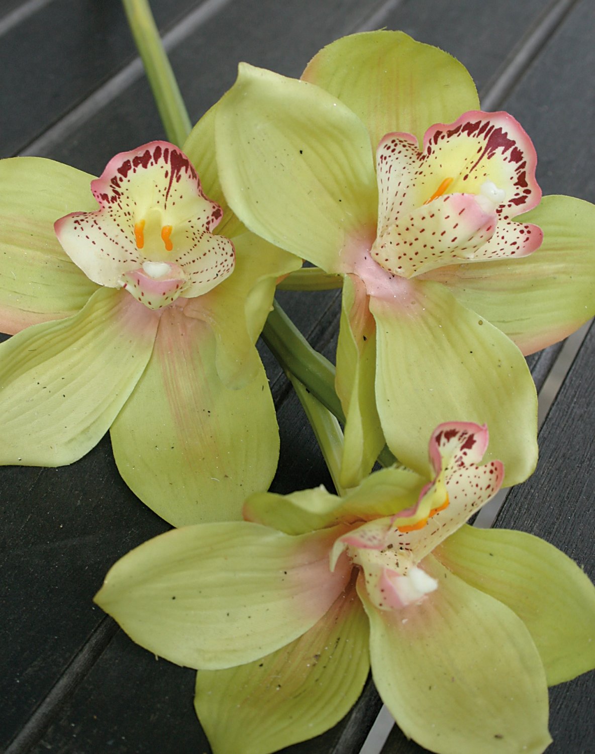 2583 883 a2 Цимбидиум искусственная орхидея, 46 см, real touch, зеленый H-andreas  - Вид №1