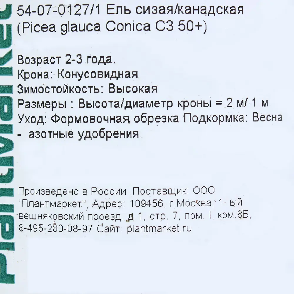 Ель канадская «Коника» C3, 50+ см 81969327 STLM-2081839 PLANTMARKET  - Вид №2