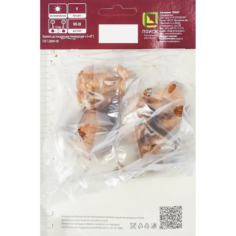 Гладиолус крупноцветковый Якутск, 5 шт ПОИСК STLM-2194843 - Вид №1