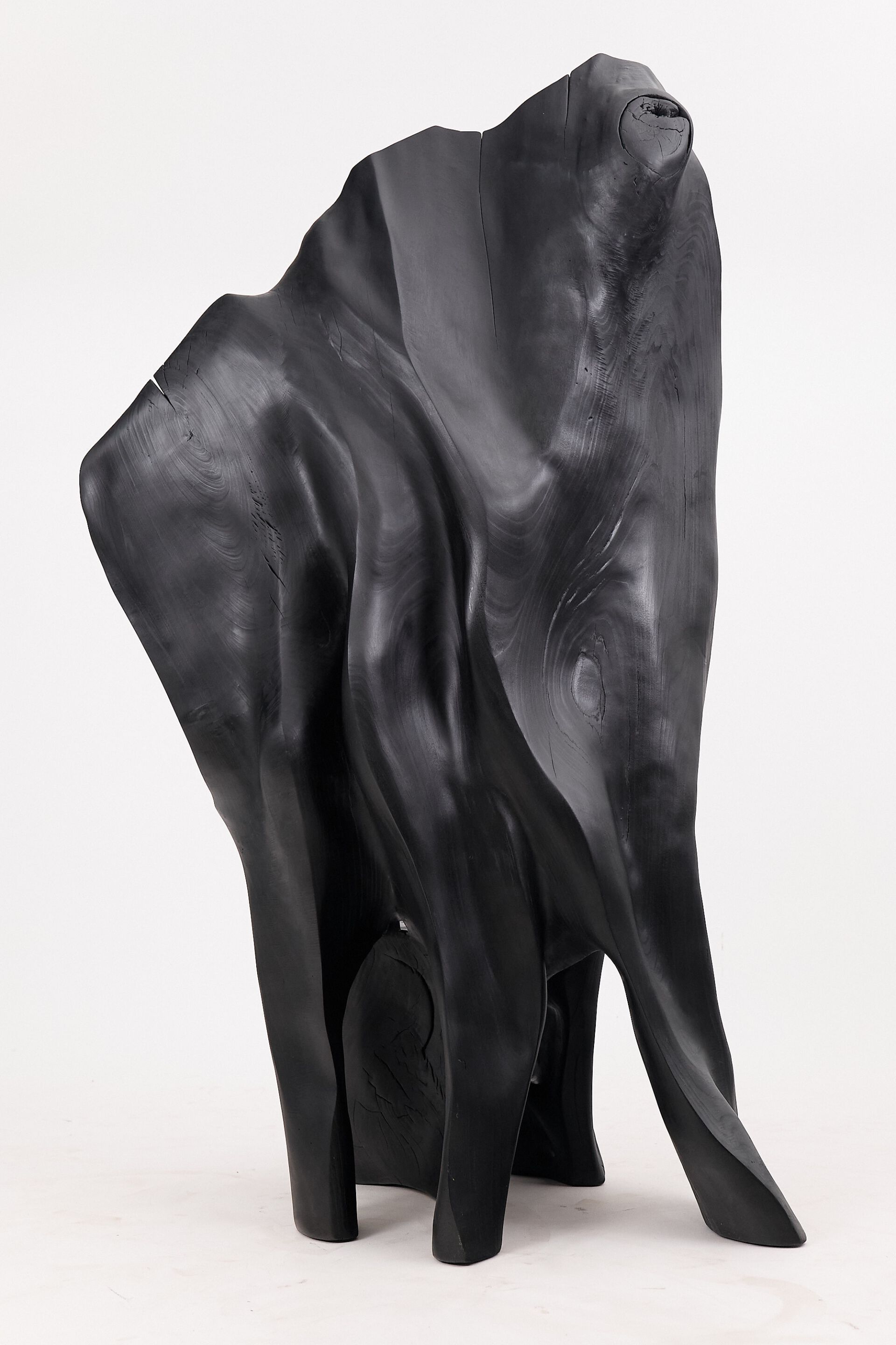 Дубовый стул Logniture XXL THRONE CHAIR ARCH-00015935 - Вид №4