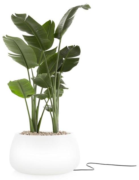 Diabla Яркий пластиковый садовый горшок Gobi sun-id-1406337 - Вид №1