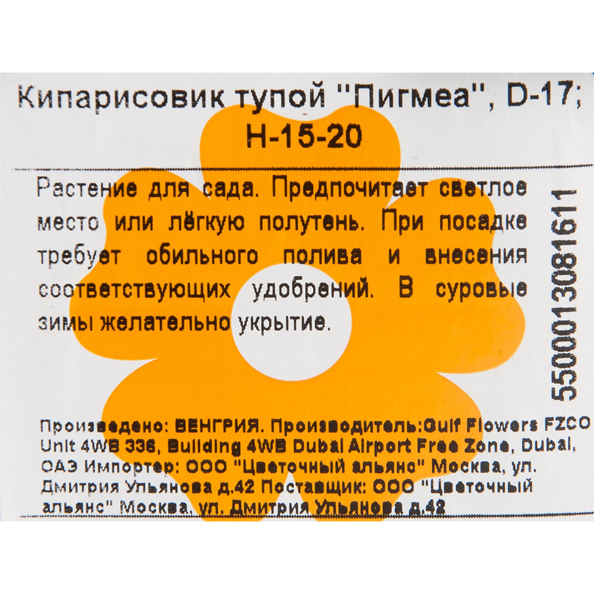 82176398 Кипарисовик тупой «Пигмеа» 2-3 л 15-20 см Santreyd  - Вид №1