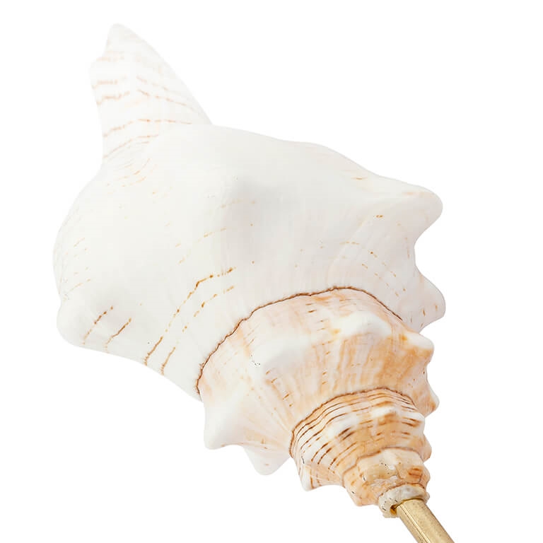 600582-00 ABHIKA СТЕНД KRIZIA SHELL SM NATURAL  - Вид №1