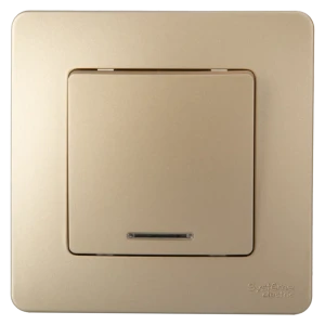 Выключатель встраиваемый Systeme Electric Blanca 1 клавиша с подсветкой цвет титановый 84502358 STLM-2046749