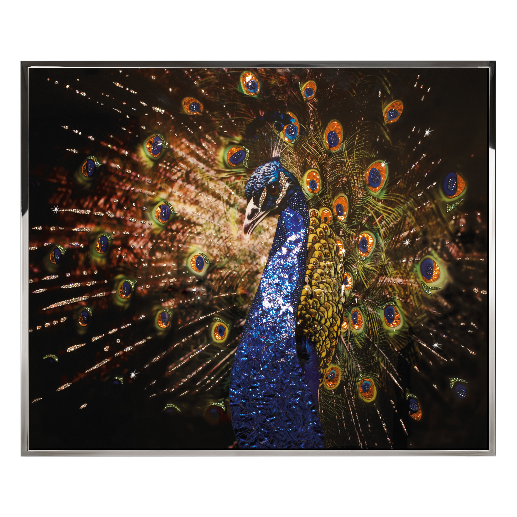 Pavone Смешанная техника Visionnaire  - Вид №1