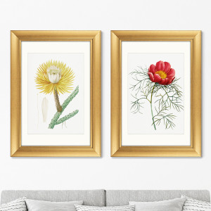 91278137 Картина «» Диптих Antique plants drawn №27, 1802г. (из 2-х картин) STLM-0532791 КАРТИНЫ В КВАРТИРУ