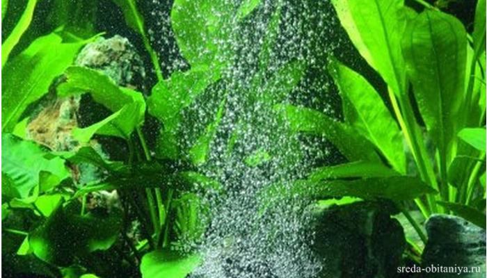 Купить эко-душ в Москве по цене со скидкой 1.jpg